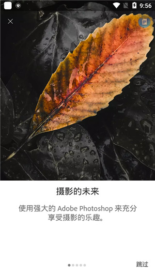 Lightroom修图软件v5.2.2安卓版2