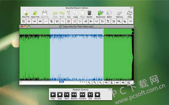WavePad17.35 绿色版0