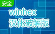 WinHex20.8 中文版