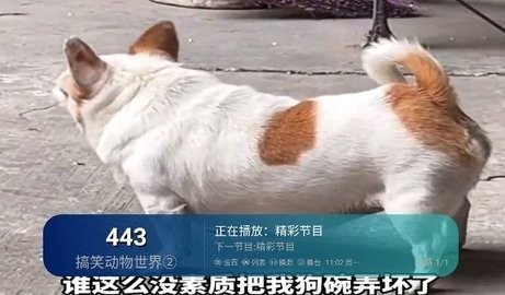 芸汐影视2023(芸汐影视tv)2