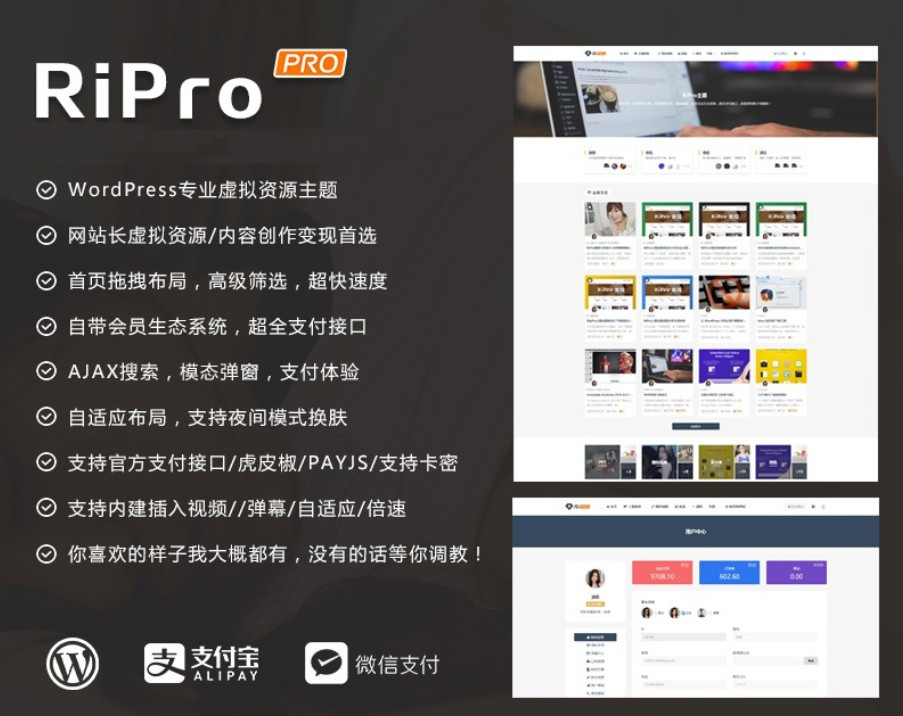 WordPress主题RiPro v6.6 破解版1