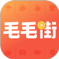 毛毛街购物app安卓版 v1.0