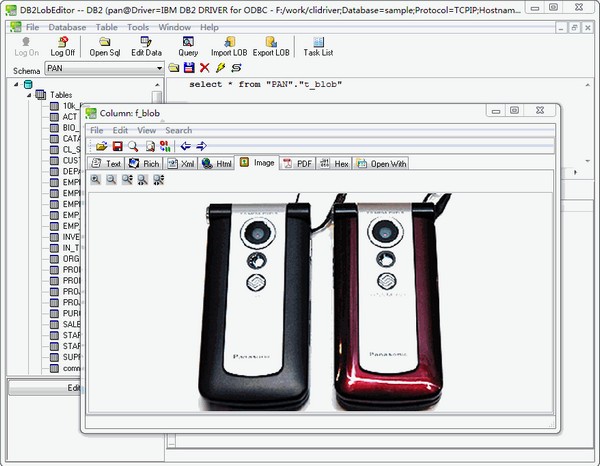 DB2LobEditor(db2数据库编辑工具) v2.8 正版1