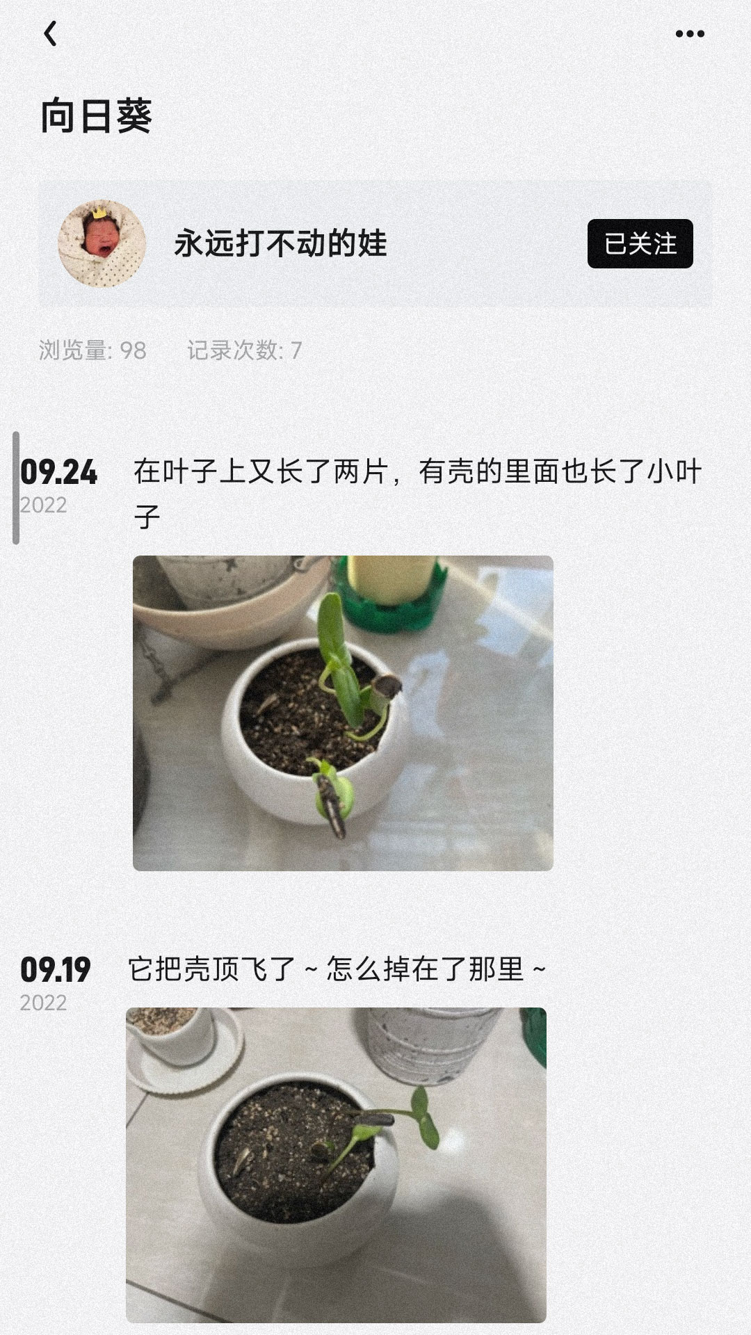 小植物0