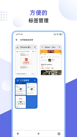 狐猴浏览器app免费版(Lemur Browser) v2.4.0.0512