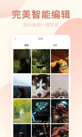 轻氧相机app安装手机版 v1.0.11