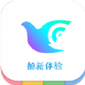 一个奇鸽船新体验app免费版 v2.14