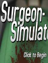 外科模拟2013：周年版