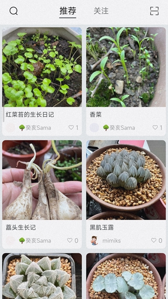 小植物记录0