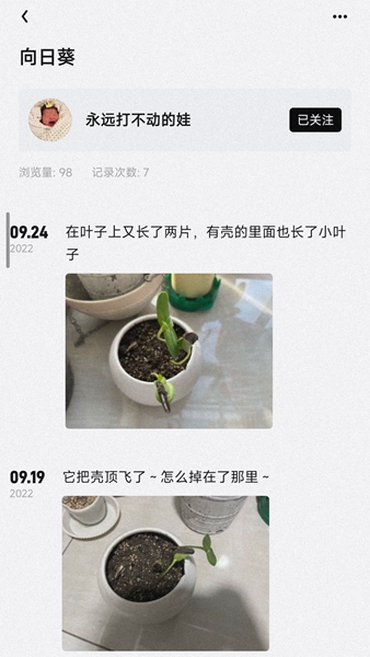 小植物记录2