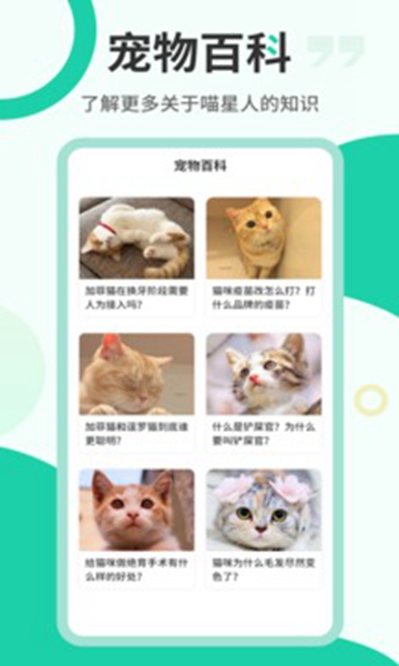 猫语翻译机0