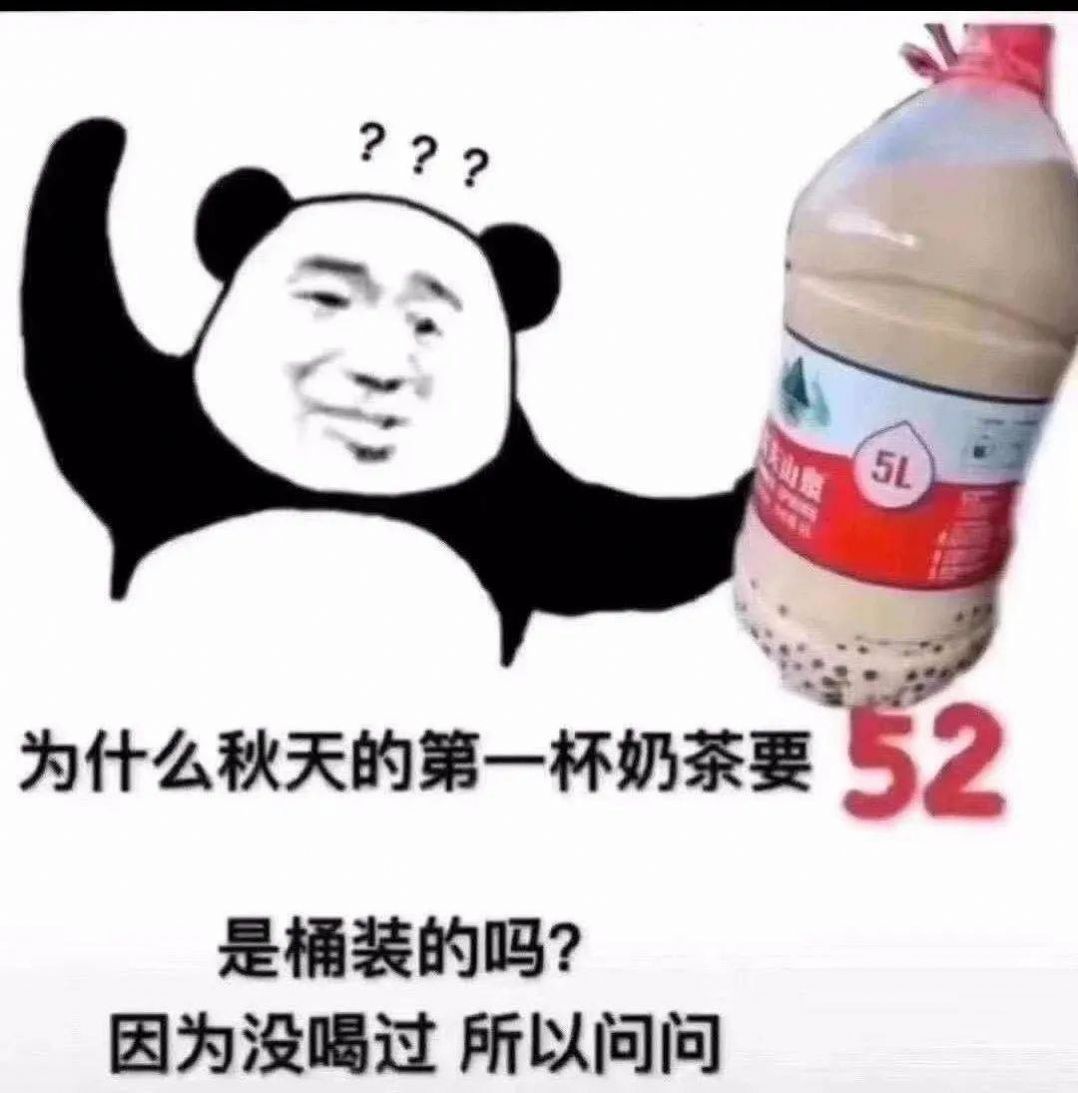 谁来安排秋天第一杯奶茶表情包0