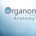 3D Organon Anatomy下载 v2021 电脑版