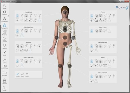 3D Organon Anatomy下载 v2021 电脑版0