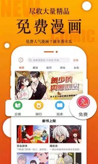 番木瓜网页版0