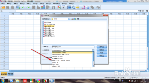 SPSS2020截图6