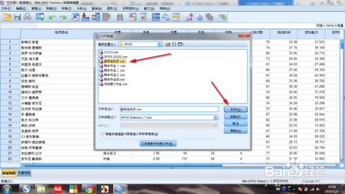 SPSS2020截图11