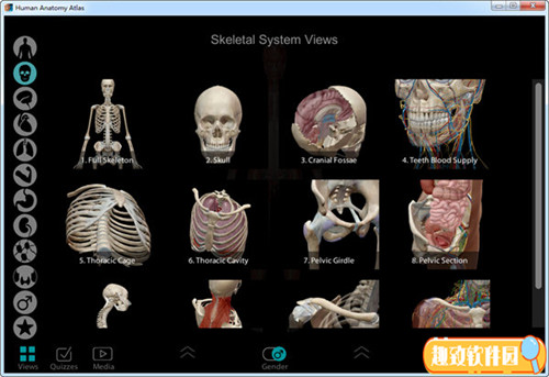 Human Anatomy Atlas 2021下载 中文电脑版0