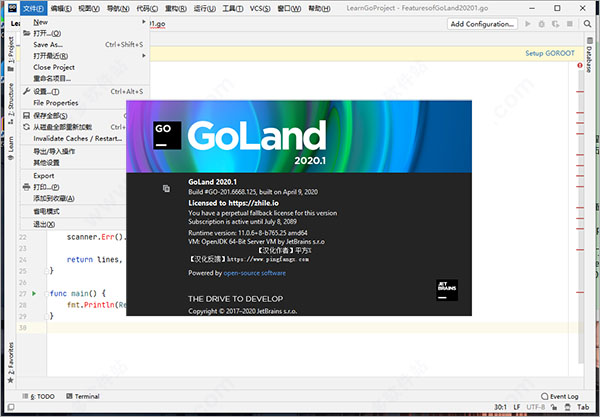 JetBrains GoLand特色