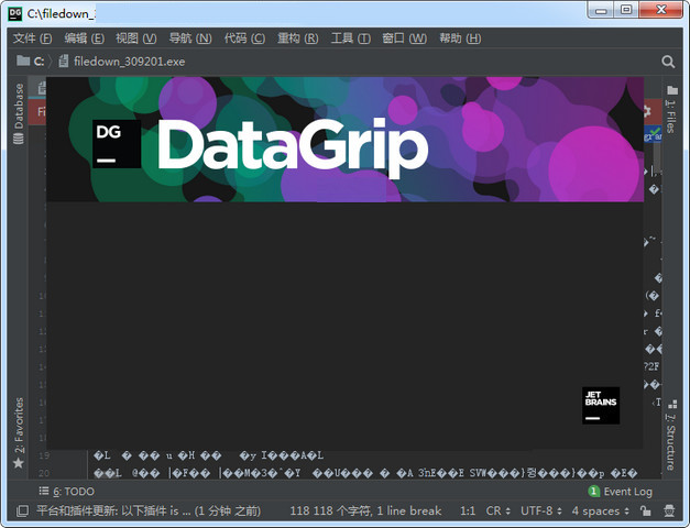 JetBrains DataGrip v2020.1 汉化版0