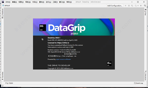 JetBrains DataGrip v2020.1 汉化版2