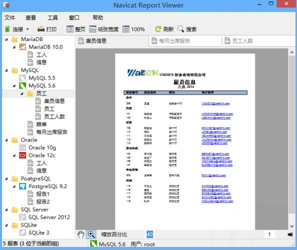 Navicat Report Viewer特色