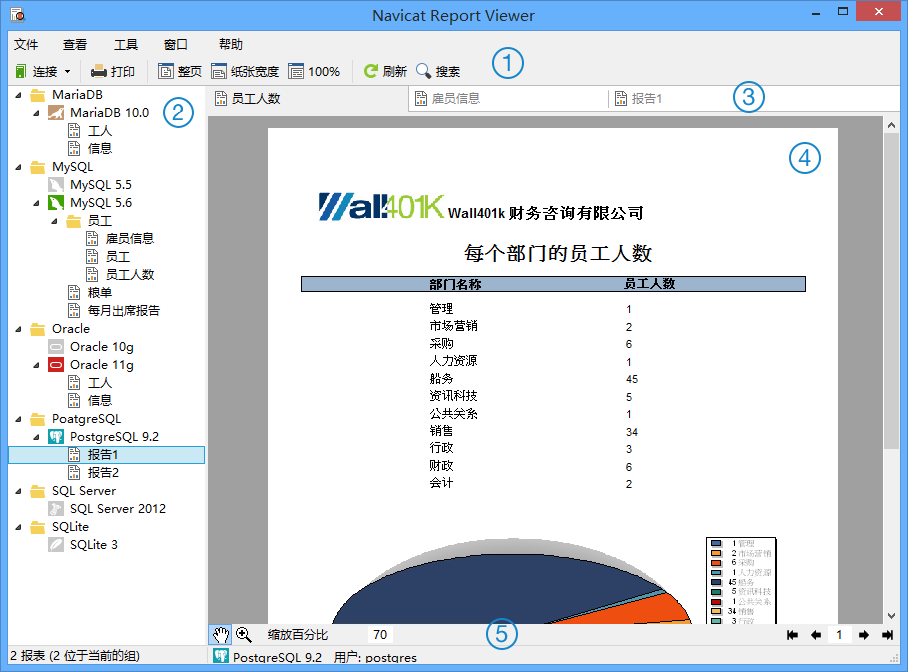 Navicat Report Viewer主窗口介绍1