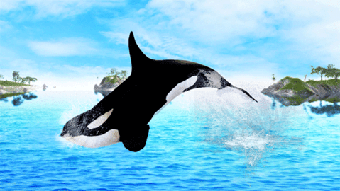 虎鲸模拟器2