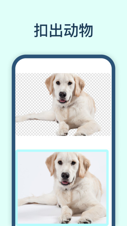 迅捷抠图2