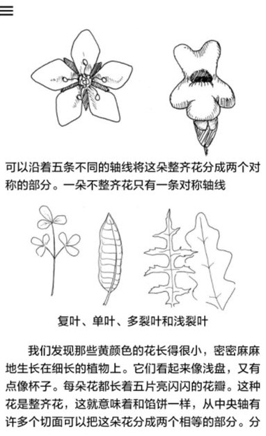 野外植物识别手册1