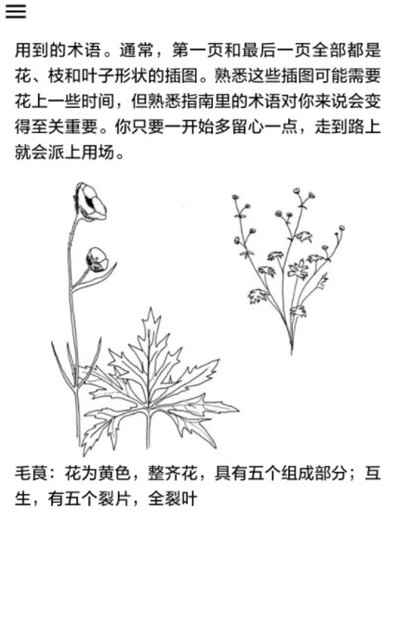 野外植物识别手册2