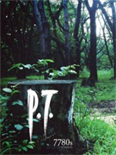 P.T.免安装版