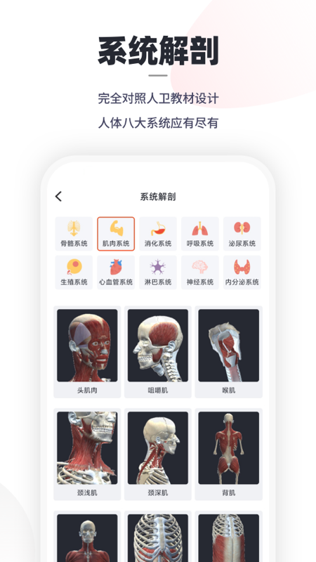 口袋解剖app0