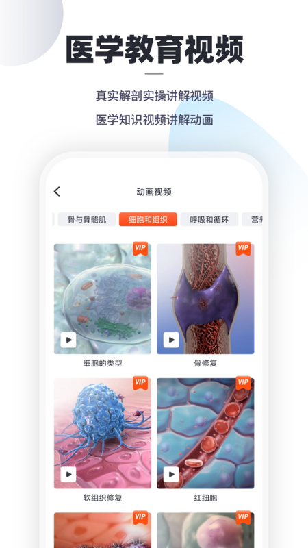 口袋解剖app1