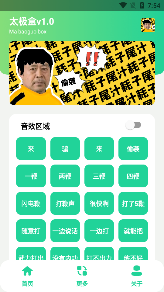 太极盒(马大师申请出战)apk(7.6m)2