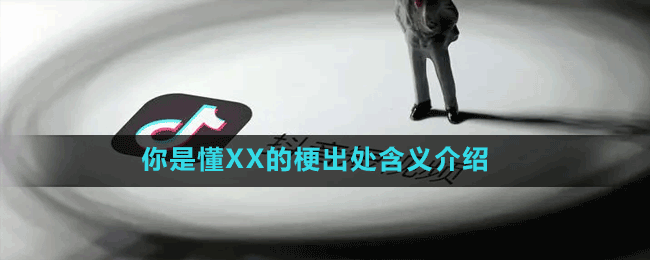 你是懂XX的是什么梗