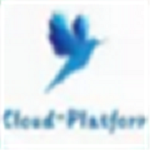 Cloud Platform(后台管理系统) V3.1.0 正版